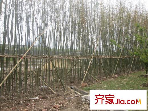 藍(lán)光COCO蜜園項(xiàng)目東面50米越來溪公園內(nèi)景
