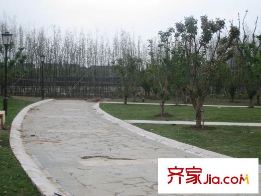 藍(lán)光COCO蜜園項(xiàng)目東面50米越來溪公園內(nèi)景