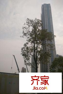 雅戈爾天宸小區(qū)實景2015.12.14