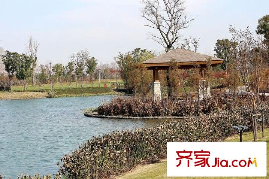 瑞景國(guó)際項(xiàng)目南500米蘆蕩湖濕地公園