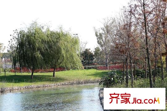 瑞景國(guó)際項(xiàng)目南500米蘆蕩湖濕地公園