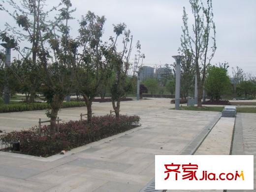 藍(lán)光COCO蜜園項(xiàng)目東面50米越來溪公園內(nèi)景