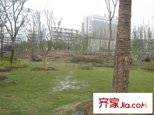 藍(lán)光COCO蜜園項(xiàng)目東面50米越來溪公園內(nèi)景