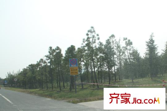 中房頤園西北1公里東太湖生態(tài)園