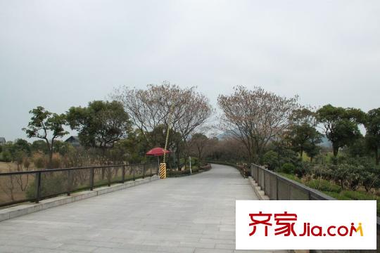 太湖相王府2013-1-10 附近小路