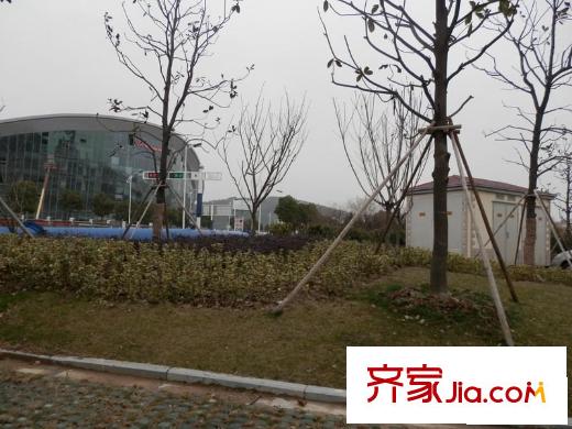 太湖相王府2013-2-27 樓盤外部綠化