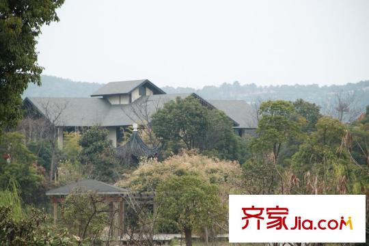 太湖相王府2013-1-10 附近風(fēng)景