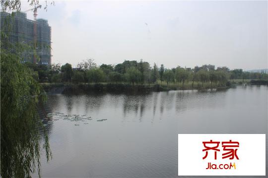 萬科璞悅灣景觀實(shí)景2015.9.24