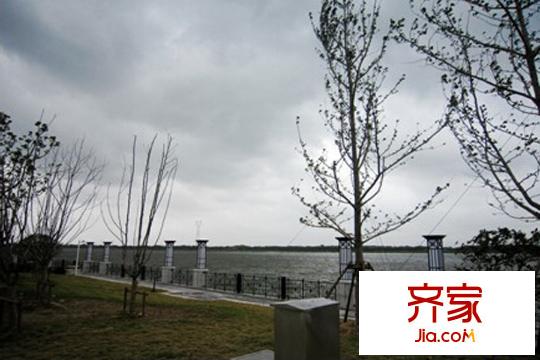 太陽島花苑實景圖