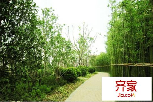 太陽島花苑實景圖