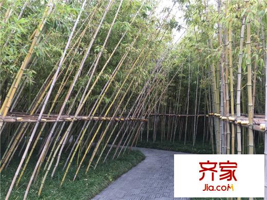 萬科璞悅灣