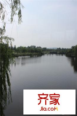萬科璞悅灣景觀實(shí)景2015.9.24