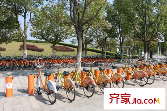 蘇州灣壹號項(xiàng)目北面50米自行車亭
