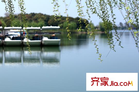 招商依云華苑項目向西南2.5千米濕地