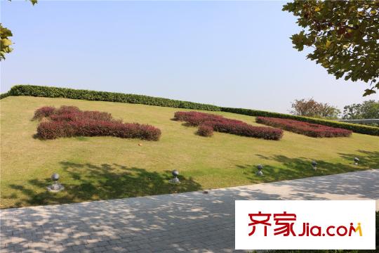 蘇州灣壹號項(xiàng)目北面10米東太湖生態(tài)園