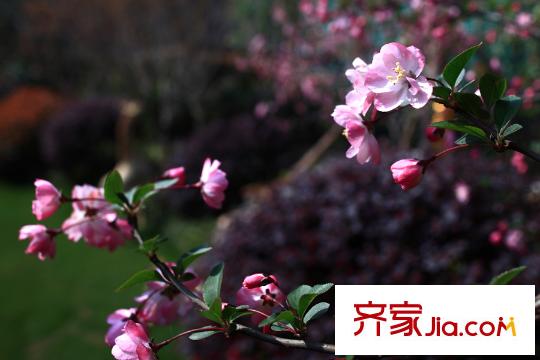 招商依云華苑項目向西南2.5千米濕地