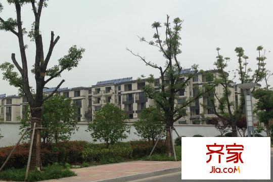 世茂御瓏墅項(xiàng)目2015.5.28
