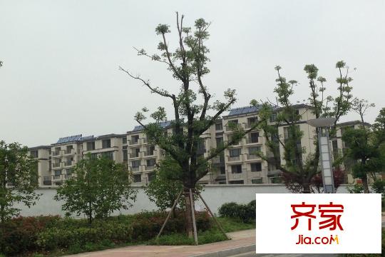 世茂御瓏墅項(xiàng)目2015.5.28
