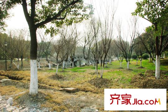 星湖花海向西南50米澄園