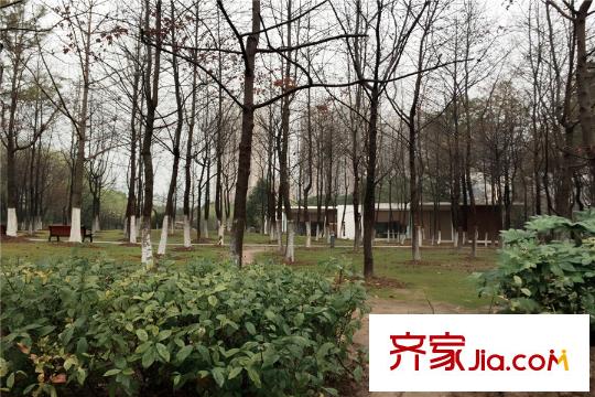 星公元名邸項目西北方向680米方洲公園