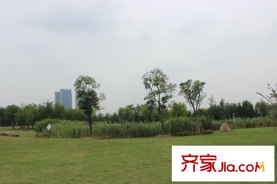世茂石湖灣項(xiàng)目南側(cè)100米石湖公園