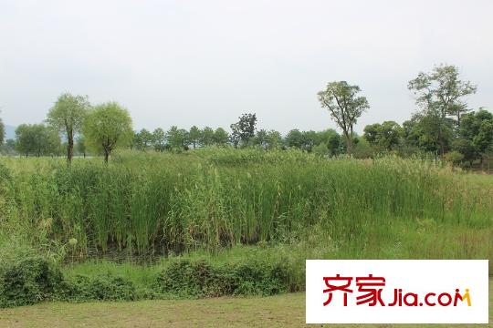世茂石湖灣項(xiàng)目南側(cè)100米石湖公園
