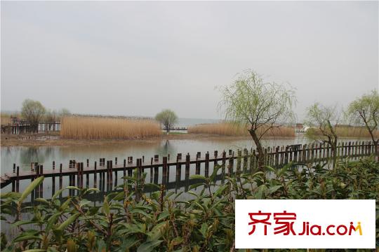 華麗家族太湖匯景項(xiàng)目南500米蘇州太湖湖濱國家濕地公園