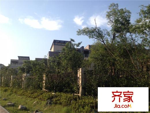 新創(chuàng)悅山墅別墅區(qū)實景2015.6.5