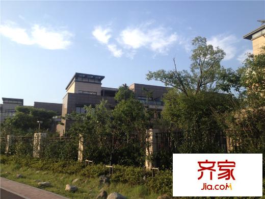 新創(chuàng)悅山墅別墅區(qū)實(shí)景2015.6.5