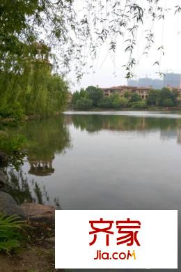 新湖明珠城小區(qū)實(shí)景2015.12.22