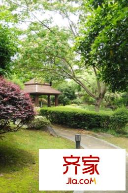 新湖明珠城小區(qū)實(shí)景2015.12.22