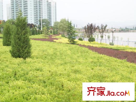 在水一方周邊配套公園