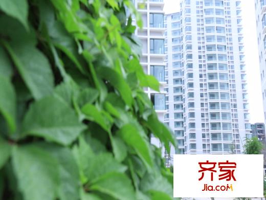 在水一方項目（2013-7）