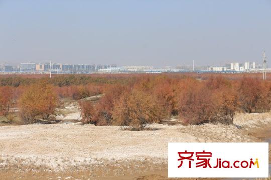 琨宇?書香名府周邊景色