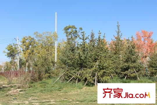 琨宇?書香名府湖景