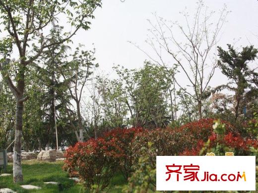 幸福家園周邊市政公園