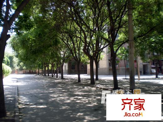 蘭崗小區(qū)外景圖 