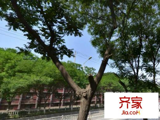 蘭拖廠北廠區(qū)安寧小區(qū)外景圖9