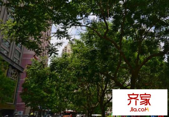 環(huán)保廳家屬院外景圖 