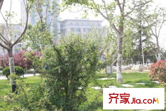 中國鐵建?梧桐苑周邊公園
