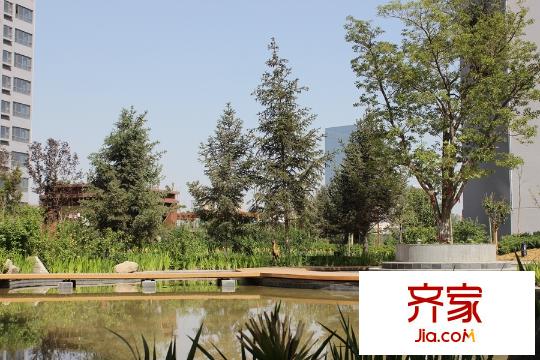 中國鐵建?梧桐苑園林（2015.05.11）