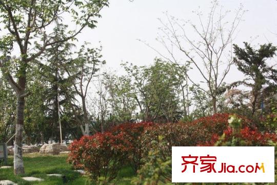 中國鐵建?梧桐苑周邊公園