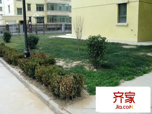 蘭鑫小區(qū)外景圖樓下草坪
