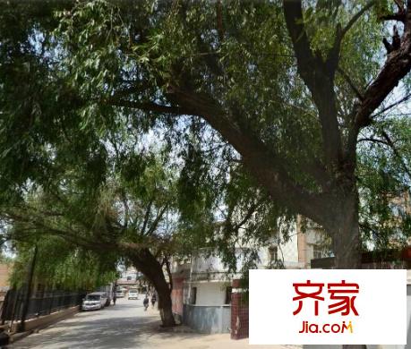 果品家屬院外景圖 