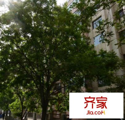鐵路西村春明小區(qū)外景圖  