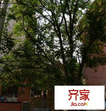 鐵路西村春明小區(qū)外景圖  