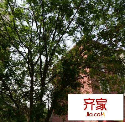 鐵路西村春明小區(qū)外景圖  