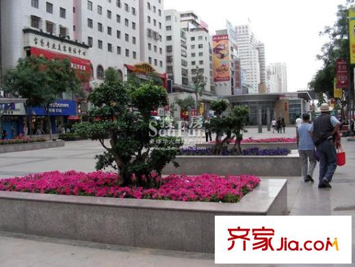 蘭澳花苑配套圖張掖路新增的盆景 靚吶