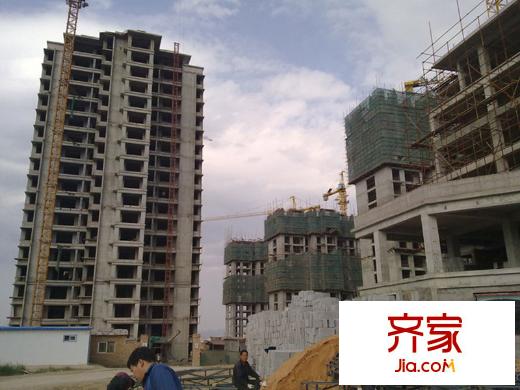 新元綠洲外景圖  