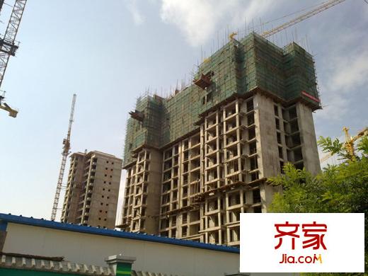 新元綠洲外景圖  